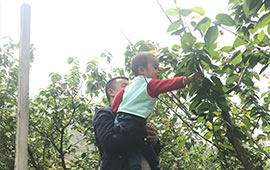 20190326105343_398
